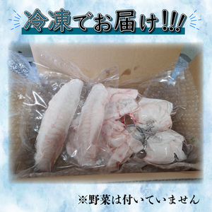 篠島産 天然 とらふぐ 鍋用 ぶつ切り 2~3人前 500g 冷凍