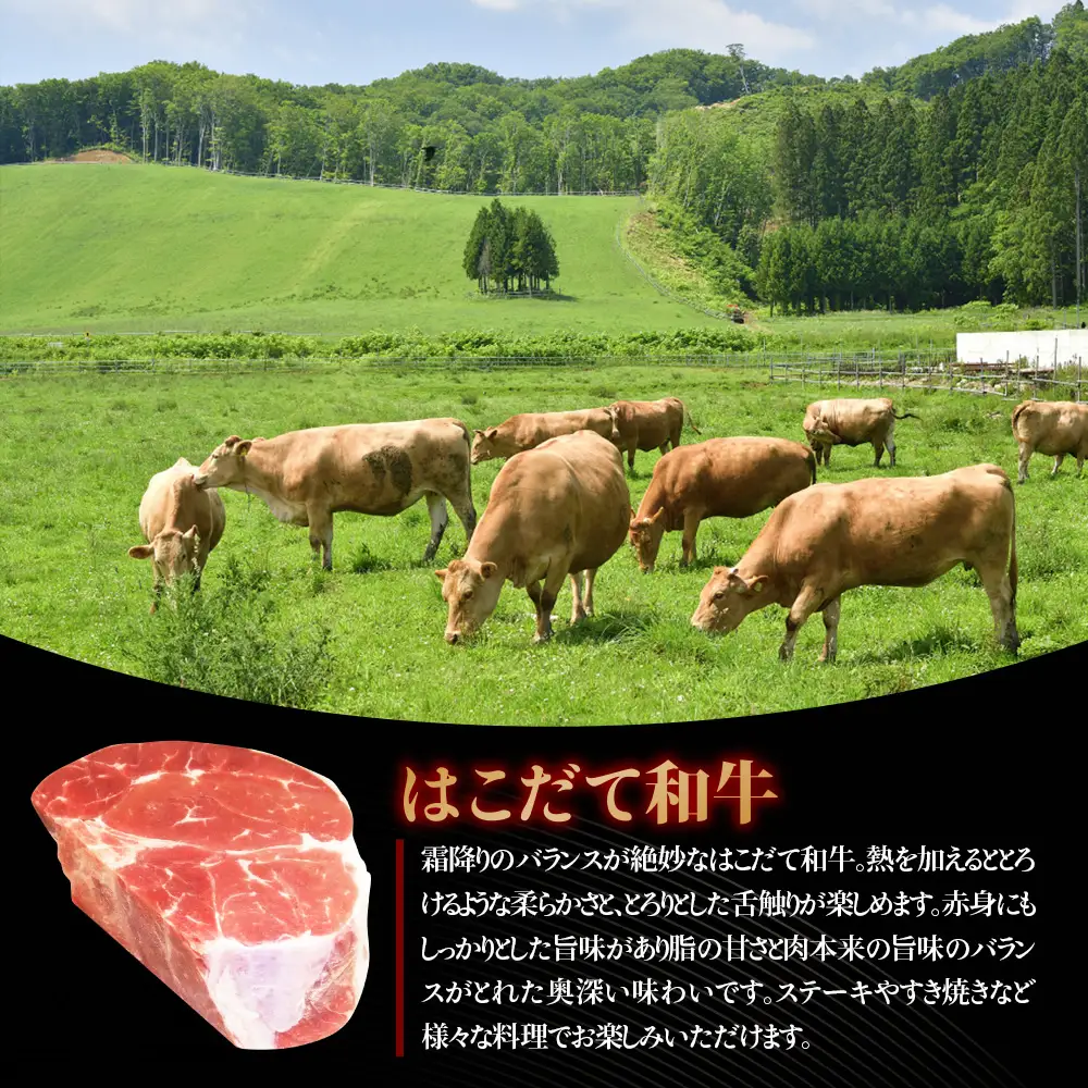 はこだて和牛 ブロック肉 800g 和牛 あか牛 牛肉 お肉 ビーフ 赤身 ネック スネ ウデ 国産 カレー シチュー 冷凍 お取り寄せ ギフト ご当地 グルメ 久上工藤商店 送料無料 北海道 木古内町　 牛 肉 お肉 赤牛 ブロック カレー シチュー