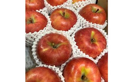 山形県産 厳選完熟高徳りんご 秀品以上 2kg 6～12玉入り 化粧箱《先行予約2026年11月発送開始》 りんご リンゴ 林檎 デザート フルーツ 果物 くだもの 果実 食品 山形県 FSY-1354