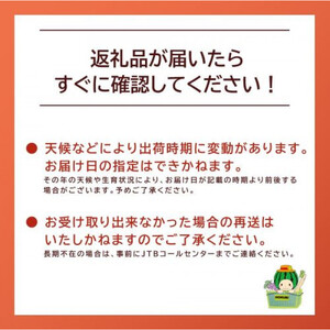 243.【先行予約】スイカM2玉　5kg以上2玉◇ ※5月下旬～8月中旬頃に順次発送予定（こちらの返礼品は、大栄西瓜ではありません）