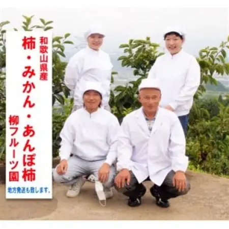 柿【先行受付】柳フルーツ園(訳あり)たねなし柿 約7.5kg_柿　たねなし柿　橋本市産柿　渋柿_【1077001】