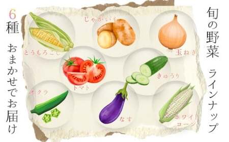 野菜 奈良県産 季節の大和野菜 おまかせ６種セット 【入金確認後２週間以内に発送】 葛城市【smlk041】