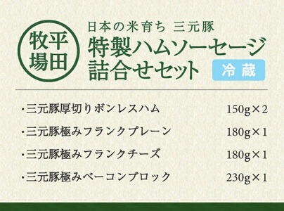 SC0635　【平田牧場】 特製ハムソーセージ 詰合せセット (CHK23-6)
