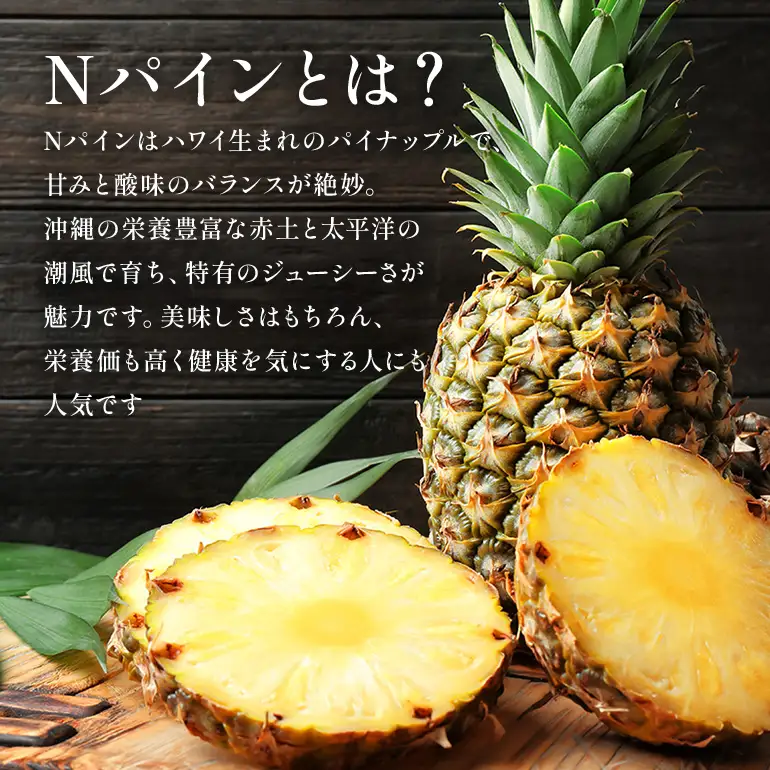 Nパイン2玉　自然の恵み詰まったパイナップル 172-2