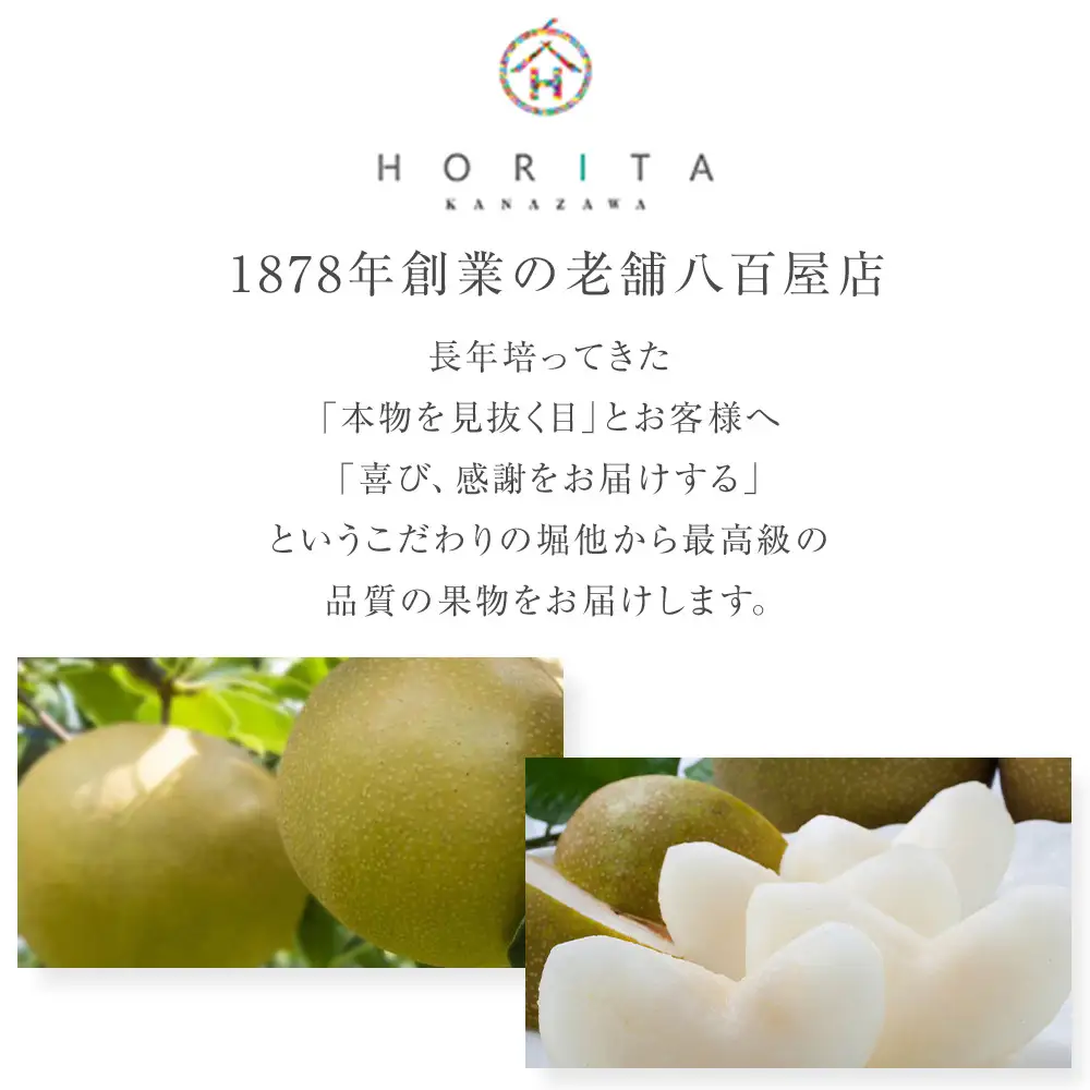 【2026年8月下旬以降発送】【先行予約】加賀しずく梨 3～5個