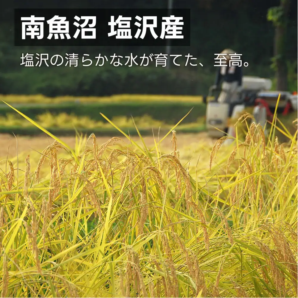 南魚沼 塩沢産 コシヒカリ パックご飯 150g 24パック