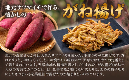 芋天 がね揚げ ガネアゲ 4個 惣菜 芋天