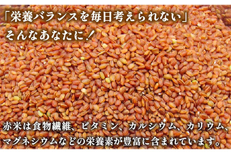 壱岐島の古代米 赤米 4kg (1kg入り × 4袋)[JDB123]