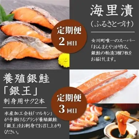 【3ヵ月毎定期便】大定番!女川の水産加工品セット全4回【配送不可地域：離島】【4081184】