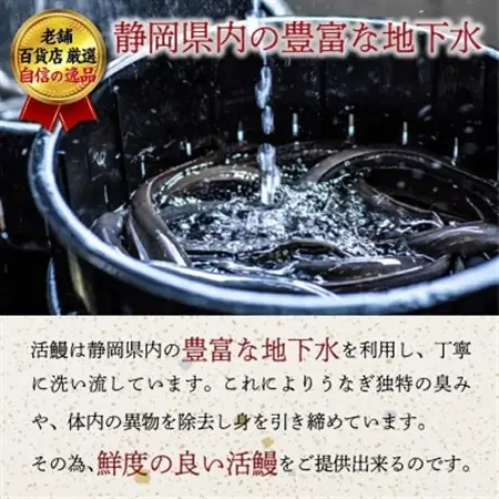老舗百貨店自信の逸品　静岡県産うなぎ長蒲焼(130g×3P)・蒲焼きざみ(90g×1P)セット【配送不可地域：離島】【1703061】