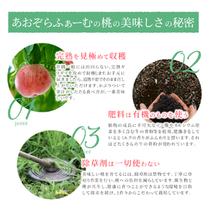 もも しっかり果肉！硬め好きに贈る贅沢桃　なつっこ【5～6玉】【先行予約】【2026年6月下旬～8月上旬順次発送】【aozf002】