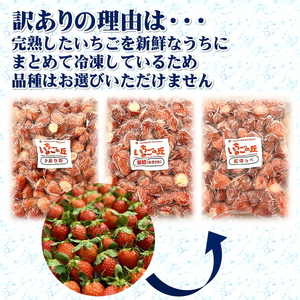まるは食堂 マルハリゾート いちごの丘 『訳あり』完熟 冷凍いちご 2kg 1kg×2袋 ｜ 訳あり いちご イチゴ 冷凍 2kg 国産 完熟 スムージー ジャム ヨーグルト シャーベット デザート アイス おやつ 果物 フルーツ 愛知県 美浜町 ※北海道・沖縄・離島への配送不可