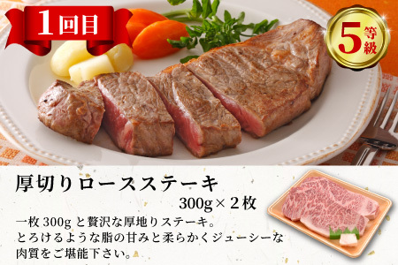 最高等級 5等級限定 飛騨牛3回定期便 すき焼き しゃぶしゃぶ ステーキ シャトーブリアン 厚切りステーキ ロース ロースステーキ ローススライス 希少部位 贅沢 3ヶ月 定期 定期便 飛騨 飛騨牛 牛 肉 和牛 黒毛和牛 ブランド牛 養老ミート