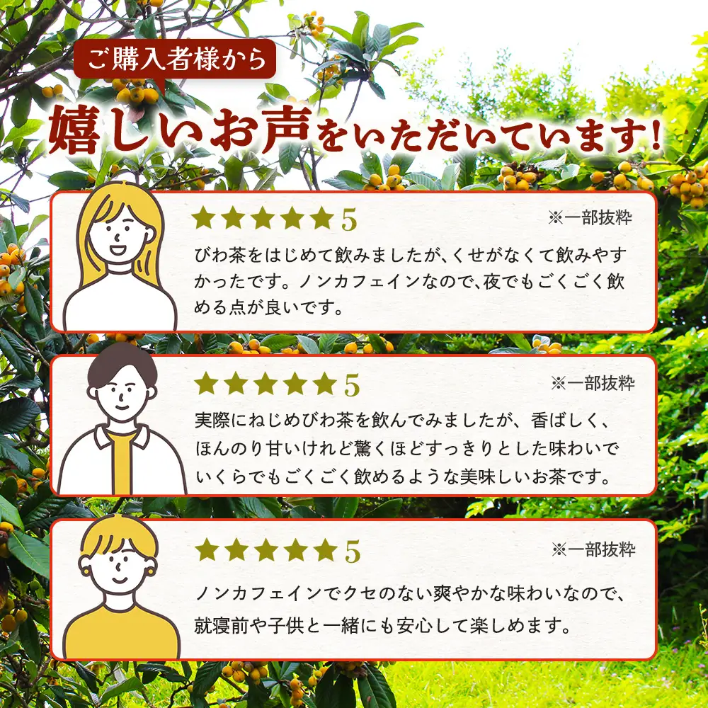 【定期便12回連続・大人気２種セット】鹿児島県産 ねじめびわ茶 ティーバック（24包入×2袋）おひとりさま（7包入×2袋） TO-21-NP | 国産 お茶 健康茶 ポリフェノール ノンカフェイン 無香料 無着色 さわやか 甘み 香ばしい おいしい びわの葉 トルマリン石焙煎 産地直送 鹿児島県 南大隅町 十津川農場