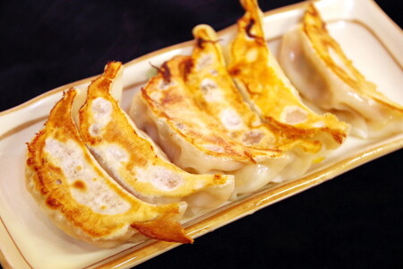 やさい餃子 24個入り×1箱（480g）