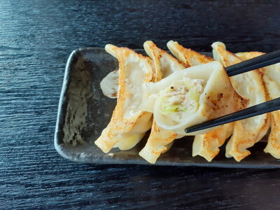 野州餃子 24個入り×2箱（合計48個）（960g）