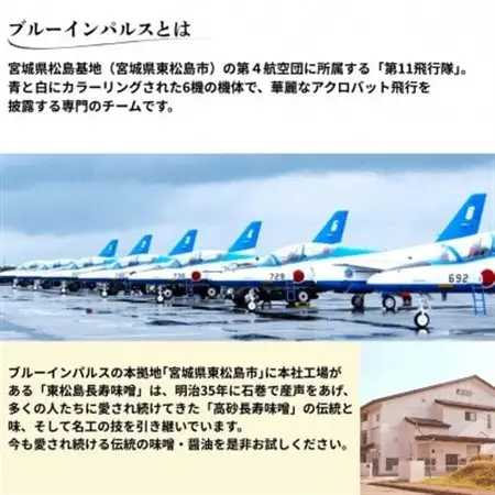 【ブルーインパルスデザインパッケージ】調味料お試しセット【1672711】