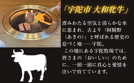 ＜冷凍＞大和牝牛 焼肉用 800g ／太田家 和牛 牛肉 焼肉 お弁当 バーベキュー アウトドア キャンプ 父の日 お中元 贈答用 贈り物 暑中見舞い お土産 お歳暮 美味しい部位 奈良県 宇陀市 ふるさと納税
