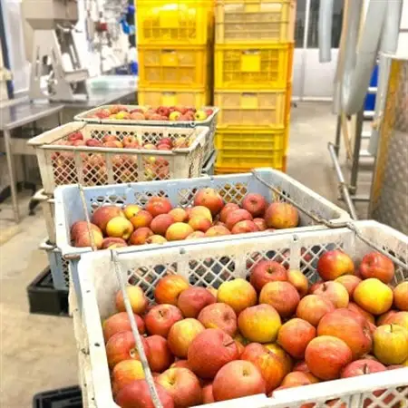 【南三陸ワイナリー】CIDRE 2024(750ml)シードル(辛口)【1678081】
