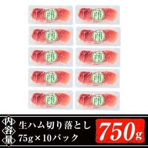 ＜2026年5月中に発送予定＞国産 豚 生ハム 切り落とし 75g×10P(計750g) おつまみ 小分け 【ナンチク】A302-05-v01