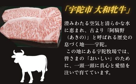 ＜冷凍＞大和牝牛 サーロインステーキ 300g×2枚 計600g ／太田家 和牛 牛肉 焼肉 お弁当 バーベキュー アウトドア キャンプ 父の日 お中元 贈答用 贈り物 暑中見舞い お土産 お歳暮 美味しい部位 奈良県 宇陀市 ふるさと納税