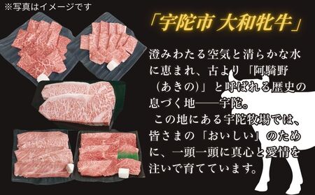 ＜冷凍＞大和牝牛 プレミアムセット 計1.8kg ／太田家 和牛 牛肉 しゃぶしゃぶ すき焼き 焼肉 お弁当 バーベキュー アウトドア キャンプ 父の日 お中元 贈答用 贈り物 暑中見舞い お土産 お歳暮 美味しい部位 奈良県 宇陀市 ふるさと納税