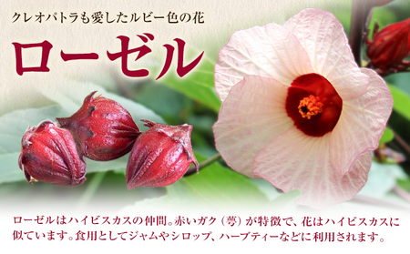 ローゼルジャムセット 40g×6個 もり農園《30日以内に出荷予定(土日祝除く)》熊本県 苓北町 ジャム ローゼル ハイビスカス セット