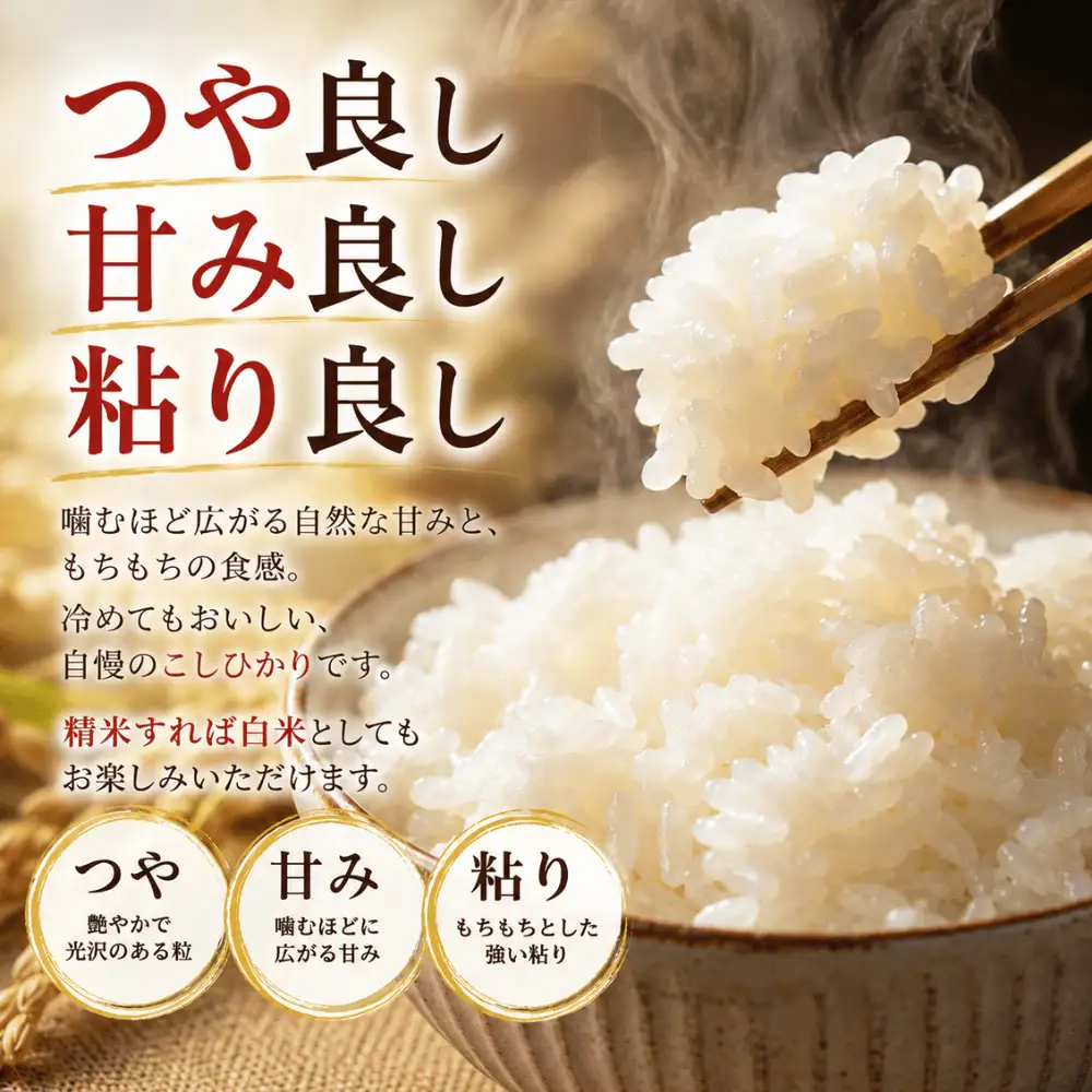 コシヒカリ【玄米】 5キロ 1袋 / 国産 こしひかり  5キロ 令和7年産 米 お米 保存袋 生活必需品 ギフト 贈り物 お歳暮 ふるさと納税 送料無料【n0668-05_gou】