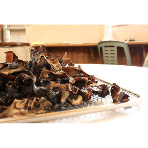 いりすのきのこ　乾燥きくらげ（20g×4パック）