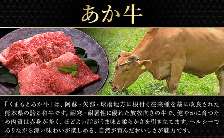 あか牛＆黒毛和牛ミックス牛肉切り落とし 500g 熊本県畜産農業協同組合《60日以内に出荷予定(土日祝除く)》熊本県 産山村 くまもとあか牛 くまもと黒毛和牛 切り落とし 牛肉 肉 熊本県産 和牛 あか牛 黒毛和牛【配送不可地域あり】（離島）