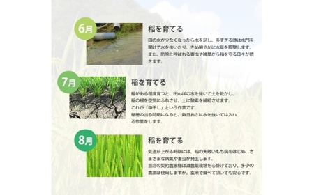 【令和7年産】 にこまる 5kg×4袋 計20kg 精米 【2026年8月下旬まで発送予定】 お米 米 コメ ご飯 ごはん ゴハン 白ご飯 白米 4袋 モチモチ ツヤツヤ