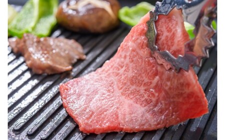 B395.訳あり！【A4～A5】博多和牛焼肉切り落とし（肩ロース・バラ）約1kg（500g×2）【博多和牛】
