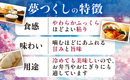 【定期便：３ケ月】令和７年産 福岡県産米 夢つくし 10kg 精米 CY009sub3