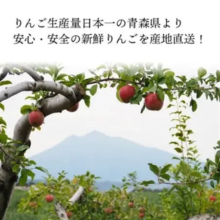 青森県産「サンふじ」家庭用　訳あり 光センサー選果済　約3kg【1635391】