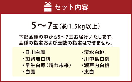 【ご家庭用】 岡山白桃 5～7玉（約1.5kg以上） 【2026年6月下旬～8月下旬発送予定】 白桃 桃 もも フルーツ くだもの 果物 果実 デザート 冷蔵 国産 岡山県 倉敷市