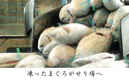 三崎マグロ 卸問屋カネシメ の 本鮪 赤身 1kgセット M070-003 冷凍 マグロ