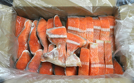 【順次発送】 【訳あり】 減塩銀鮭 2kg 鮭 さけ サケ しゃけ シャケ 減塩 銀鮭 塩鮭 切り身 冷凍 魚 海鮮 魚介 魚貝 海産物 海の幸 おかず おつまみ 肴 国産 食品 復興 震災 コロナ 能登半島地震復興支援 北陸新幹線 F6P-3168
