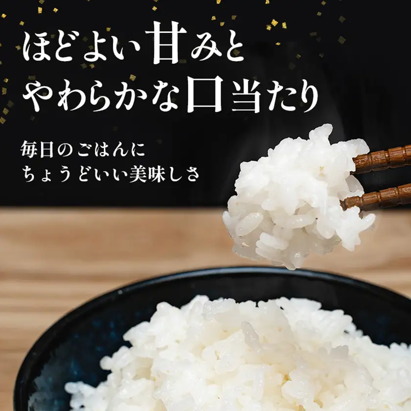 長野県産 越百黄金米(精米)5kg【1575178】