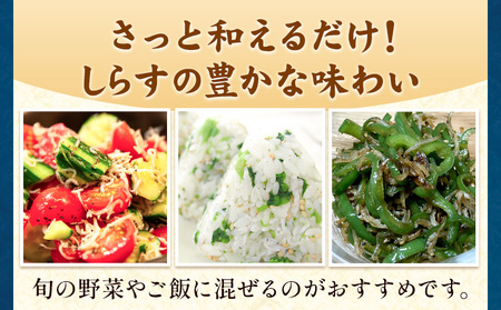 しらす干し 小分け 大津港水揚げ しらす 500g (茨城県共通返礼品：北茨城市) 川崎水産有限会社 《30日以内に出荷予定(土日祝除く)》しらす干 小分けパック 減塩 茨城県 河内町【配送不可地域あり】（沖縄・離島）