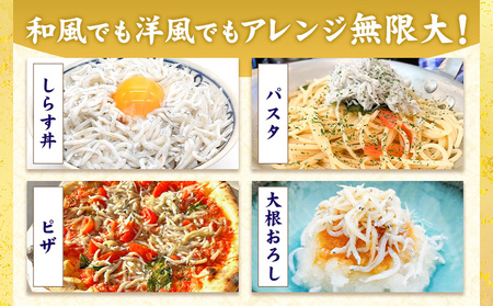 釜揚げしらす 小分け 大津港水揚げ しらす 500g (茨城県共通返礼品：北茨城市) 川崎水産有限会社 《30日以内に出荷予定(土日祝除く)》釜揚げ 小分けパック 減塩 茨城県 河内町【配送不可地域あり】（沖縄・離島）