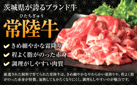 常陸牛 ももステーキ 100g × 10枚 1kg (茨城県共通返礼品：茨城県産) ワークミート《30日以内に出荷予定(土日祝除く)》茨城県 河内町 常陸牛 和牛 ステーキ もも肉 牛肉 牛 1000g