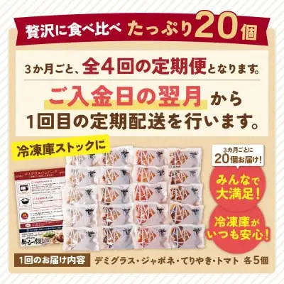 Z61-88 寄附額改定↓↓ 【4回定期便】Best4バーグ ハンバーグ 20個【合挽4種･各5個】 ハンバーグ