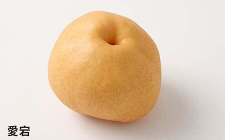 浅岡農園の梨 約5kg 梨 なし ナシ くだもの 果物 フルーツ 果実 和梨 王秋 にっこり 愛宕 大分県 九重町 【2026年11月下旬発送予定】