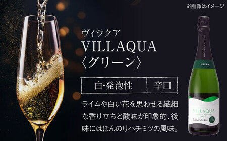 VILLAQUA -グリーン- 750ml×2本 [APAZ152] ワイン