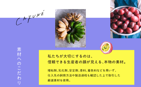 添加剤不使用 CAFUNE カフネ アイスクリーム 8個セット | 沖縄の食材 国産 厳選素材 沖縄素材 地産地消 手づくり アイス ハンドメイド クラフトアイスクリーム シャーベット | バニラ グァバ パッションフルーツ カルダモン 黒糖 紅芋 デザート アレンジ お取り寄せ スイーツ 詰め合わせ ご褒美 ギフト 贈り物 CAFUNE | 沖縄県 宜野湾市 送料無料