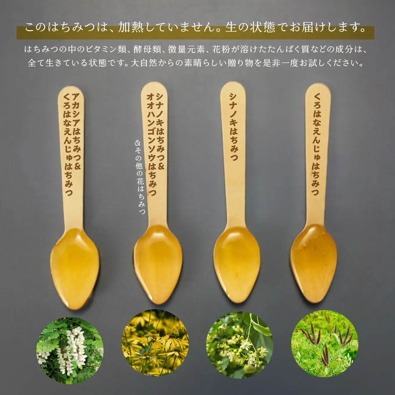 八戸杉村養蜂場 八戸はちみつ物語 お楽しみ4種類セット 【八戸市産・非加熱・生はちみつ100％】 アカシア シナノキ オオハンゴンソウ くろはなえんじゅ 100g 4個 合計 400g 瓶詰め 青森県 八戸市