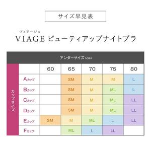 ブラジャー VIAGE ビューティアップ ナイトブラ 選べる サイズ カラー ブラ 単品 育乳 バストアップ L・ヌードピンク