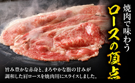 牛肉 スライス 牛肉[宮崎牛 肩ロース 1kg]