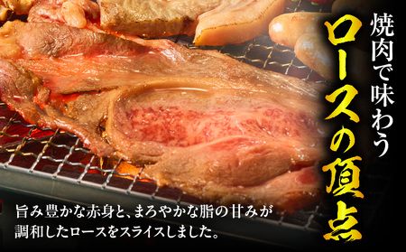 牛肉 スライス 牛肉[宮崎牛 ロース 500g]