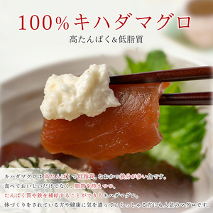 a14-114　天然 キハダマグロ 一口サイズカット 刺身 小分け セット 赤身 1パックあたり 100g 海鮮丼 刺身 寿司 漬け丼 焼津 海の極 1.1kg（100g ×11パック）